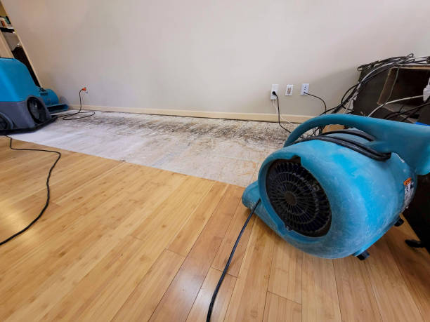 Professional Flood Damage Cleanup technician working in Vineyard, CA
